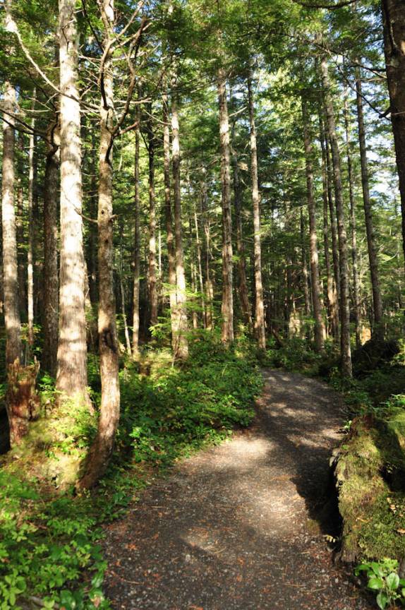 Na trilha de Butze Rapids, em Prince Rupert, na British columbia, oeste do Canadá